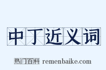 中丁近义词是什么意思的图片